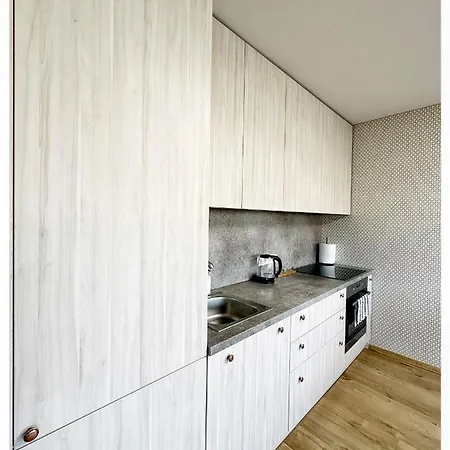 Apartment In The Centre Kaunas