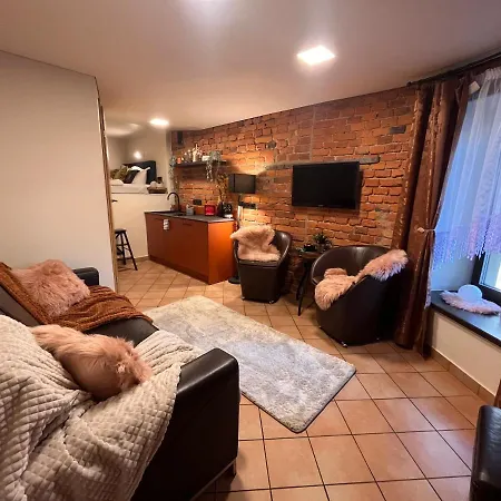 In The Centre Apartment Kaunas