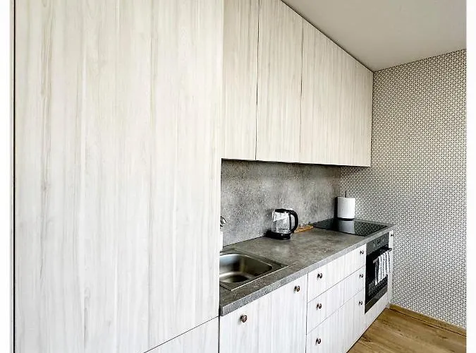 Lägenhet In The Centre Kaunas